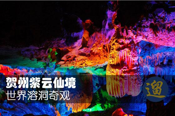 逃出小象森林